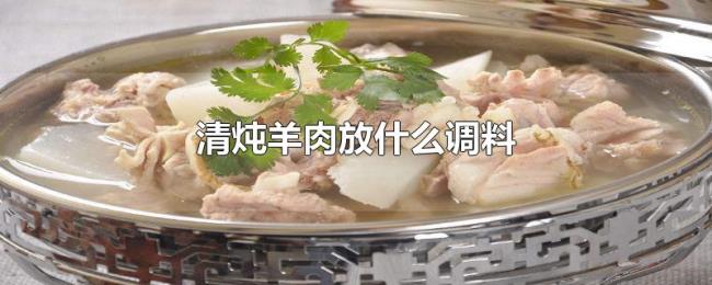 清炖羊肉放什么调料 清炖羊肉放什么调料