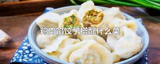 鸡肉馅饺子搭配什么菜 鸡肉馅饺子搭配什么菜