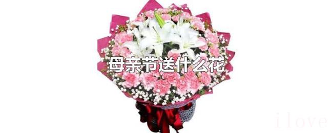 母亲节送什么花