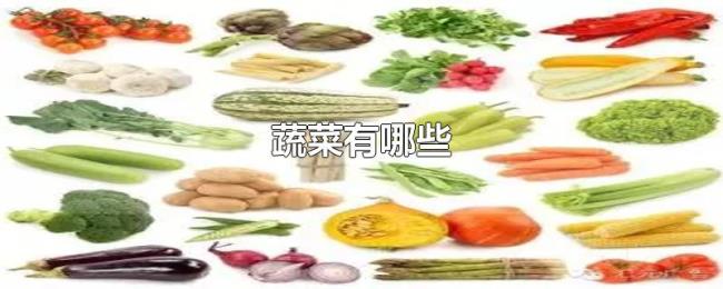 蔬菜有哪些 蔬菜有哪些