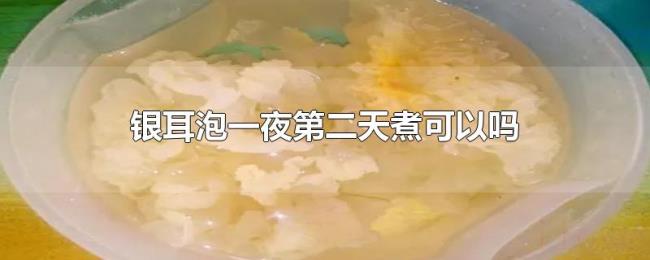 银耳泡一夜第二天煮可以吗
