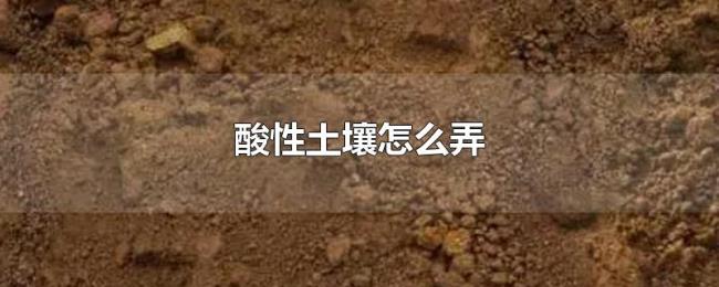 酸性土壤怎么弄