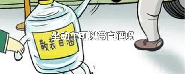 坐动车可以带白酒吗