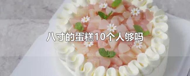 八寸的蛋糕10个人够吗