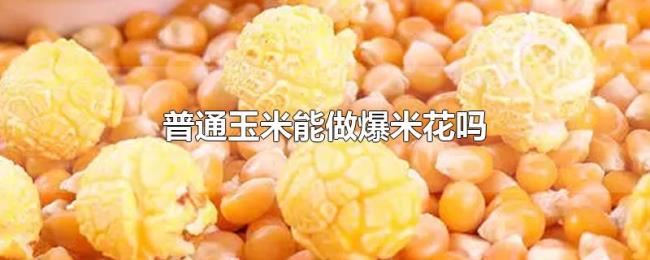 普通玉米能做爆米花吗