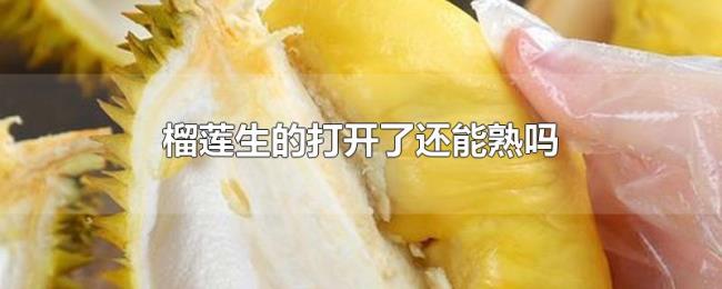 榴莲生的打开了还能熟吗 榴莲生的打开了还能熟吗