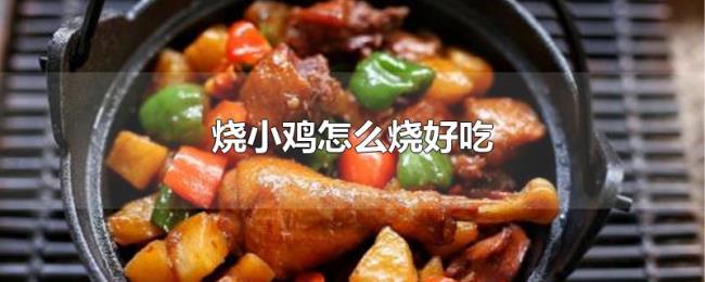烧小鸡怎么烧好吃