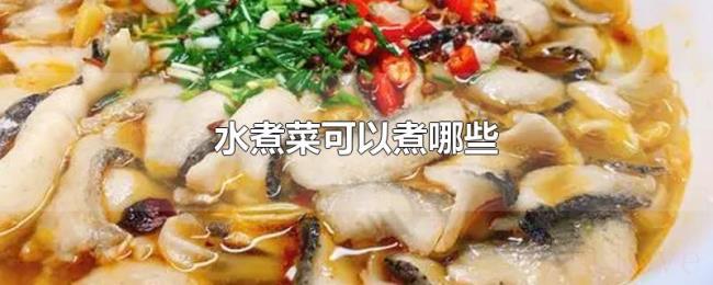 水煮菜可以煮哪些 水煮菜可以煮哪些