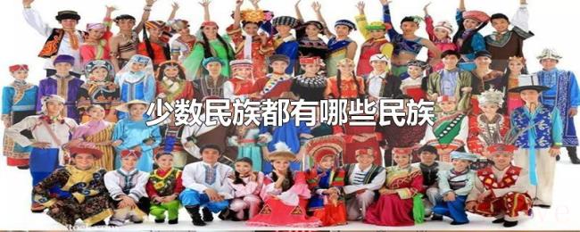 少数民族都有哪些民族