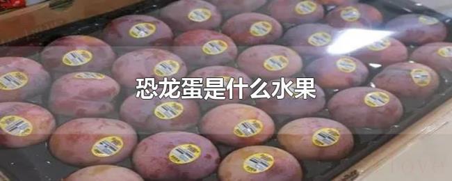 恐龙蛋是什么水果 恐龙蛋是什么水果