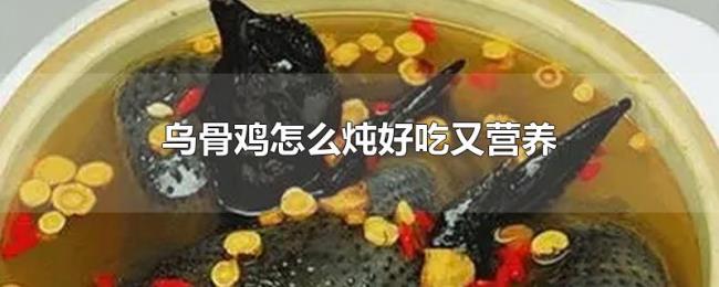 乌骨鸡怎么炖好吃又营养 乌骨鸡怎么炖好吃又营养