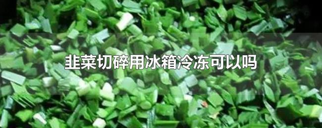 韭菜切碎用冰箱冷冻可以吗