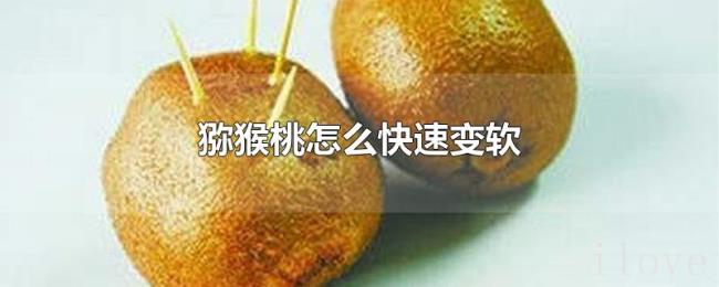 猕猴桃怎么快速变软 猕猴桃怎么快速变软