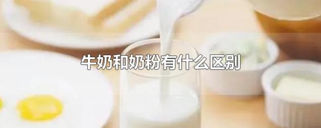 牛奶和奶粉有什么区别 牛奶和奶粉有什么区别