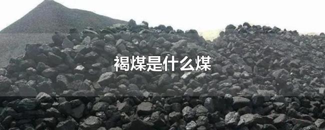 褐煤是什么煤 褐煤是什么煤