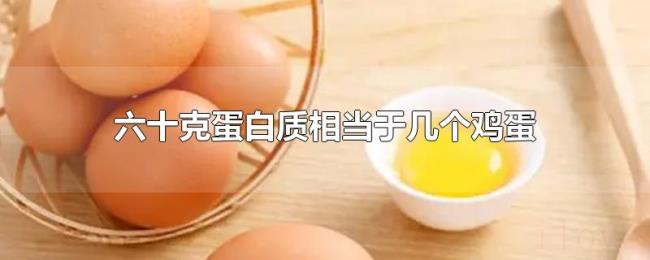 六十克蛋白质相当于几个鸡蛋