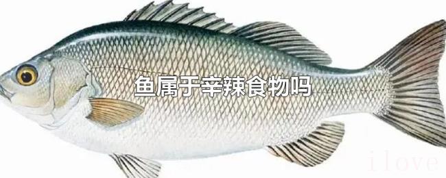 鱼属于辛辣食物吗 鱼属于辛辣食物吗