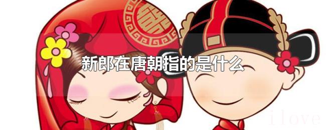 新郎在唐朝指的是什么 新郎在唐朝指的是什么