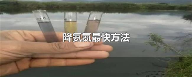 降氨氮最快方法 降氨氮最快方法