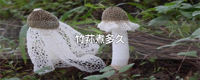 竹荪煮多久