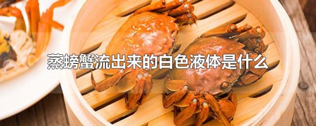 蒸螃蟹流出来的白色液体是什么 蒸螃蟹流出来的白色液体是什么