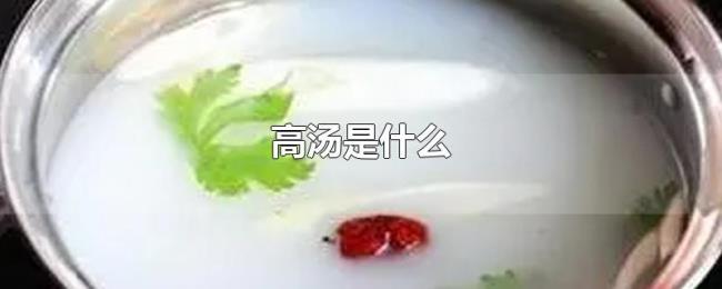 高汤是什么 高汤是什么