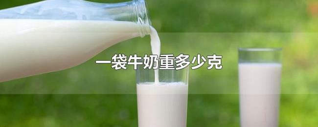 一袋牛奶重多少克 一袋牛奶重多少克