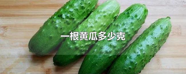一根黄瓜多少克
