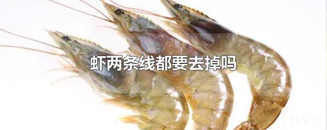 虾两条线都要去掉吗 虾两条线都要去掉吗