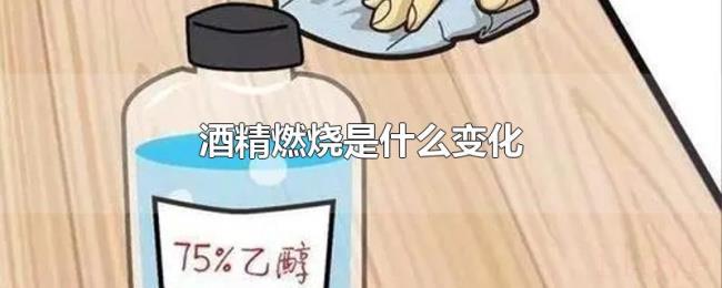 酒精燃烧是什么变化 酒精燃烧是什么变化