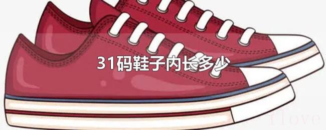 31码鞋子内长多少 31码鞋子内长多少