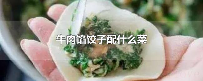 牛肉馅饺子配什么菜 牛肉馅饺子配什么菜