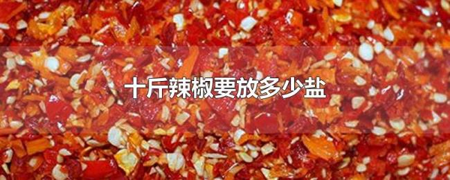 十斤辣椒要放多少盐 十斤辣椒要放多少盐