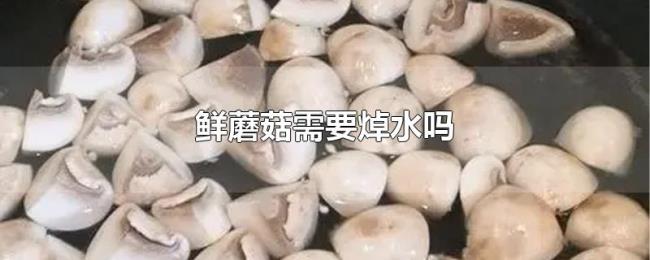 鲜蘑菇需要焯水吗 鲜蘑菇需要焯水吗