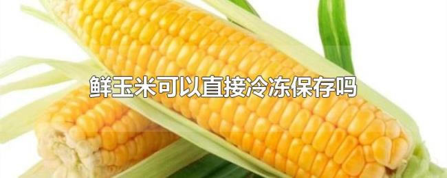 鲜玉米可以直接冷冻保存吗