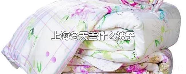 上海冬天盖什么被子 上海冬天盖什么被子