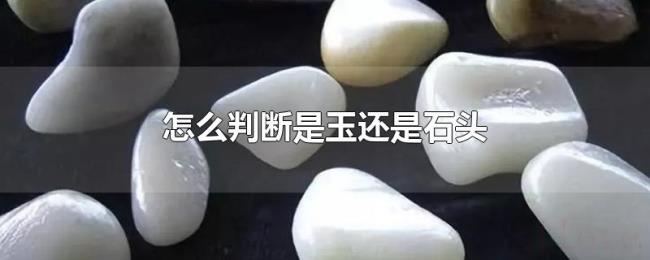 怎么判断是玉还是石头 怎么判断是玉还是石头