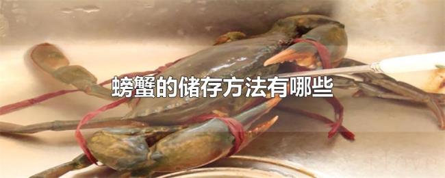 螃蟹的储存方法有哪些