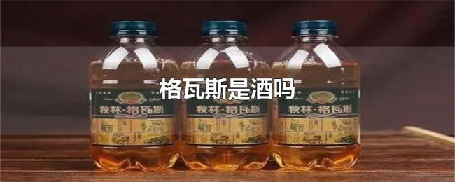 格瓦斯是酒吗