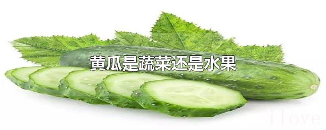 黄瓜是蔬菜还是水果