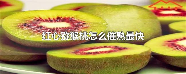 红心猕猴桃怎么催熟最快