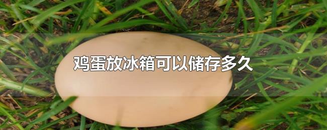 鸡蛋放冰箱可以储存多久