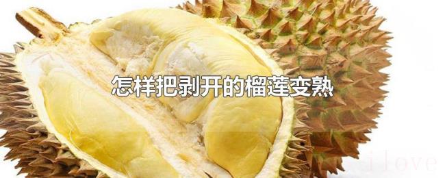 怎样把剥开的榴莲变熟 怎样把剥开的榴莲变熟