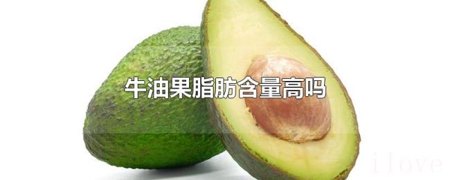 牛油果脂肪含量高吗