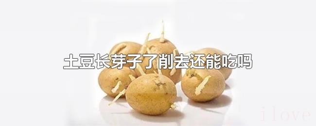 土豆长芽子了削去还能吃吗 土豆长芽子了削去还能吃吗