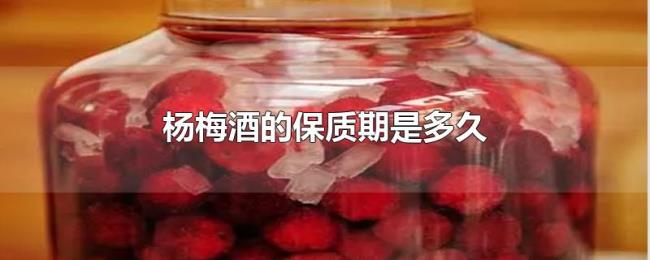 杨梅酒的保质期是多久 杨梅酒的保质期是多久