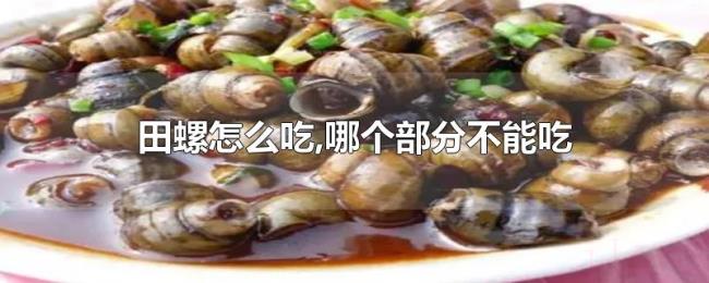 田螺怎么吃,哪个部分不能吃 田螺怎么吃,哪个部分不能吃