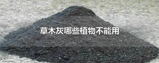 草木灰哪些植物不能用 草木灰哪些植物不能用