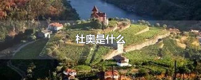 杜奥是什么 杜奥是什么