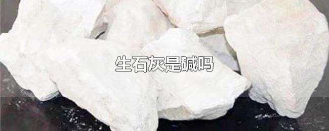 生石灰是碱吗 生石灰是碱吗